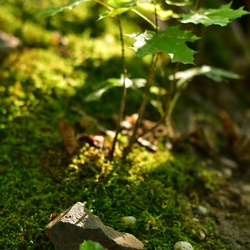 Berlin/Natür-Park Schöneberg Südgelände/DSC_5248.JPG